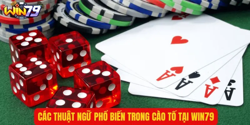 Thông thạo các thuật ngữ phổ biến trong bài tố