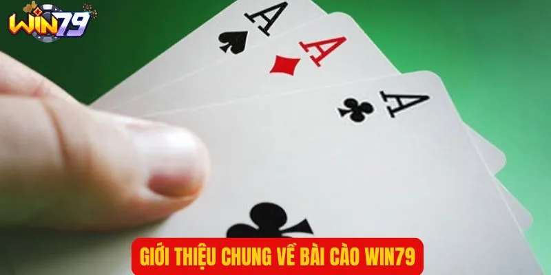 Thông tin tổng quát về bài cào WIN79 chi tiết